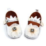 Baby Shoes Lua